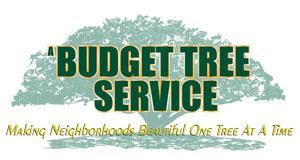 Budget Tree Service